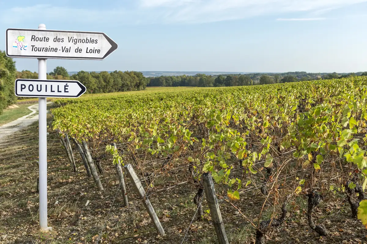 Vignobles de Touraine