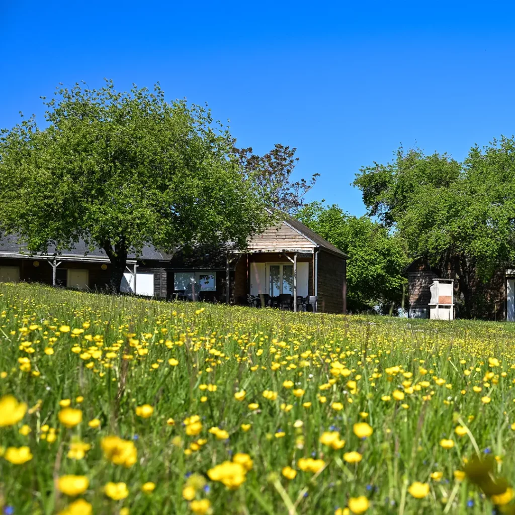 Chalets Parc carre — chalet en camping 4 étoiles