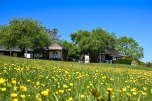 Chalets parcs — chalet du Camping Les Coteaux du Lac
