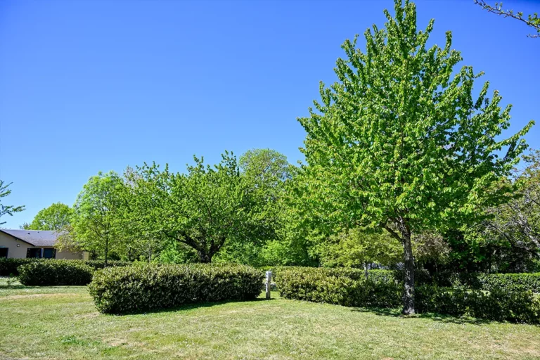 Emplacement nu — emplacement du Camping Les Coteaux du Lac