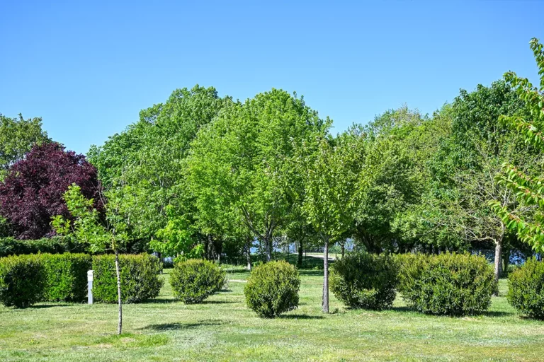 Quartier empl — Camping Les Coteaux du Lac