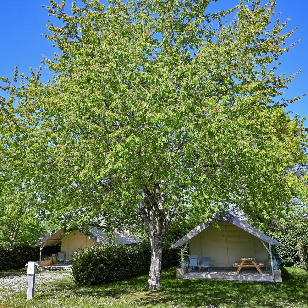 Toiles carre — bungalow toilé en camping 4 étoiles
