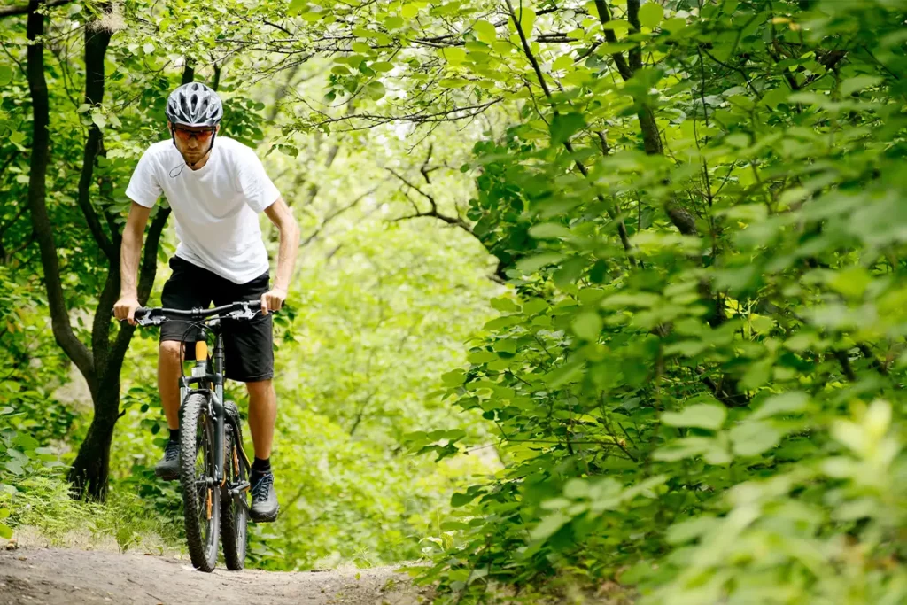 VTT en forêt de Loches