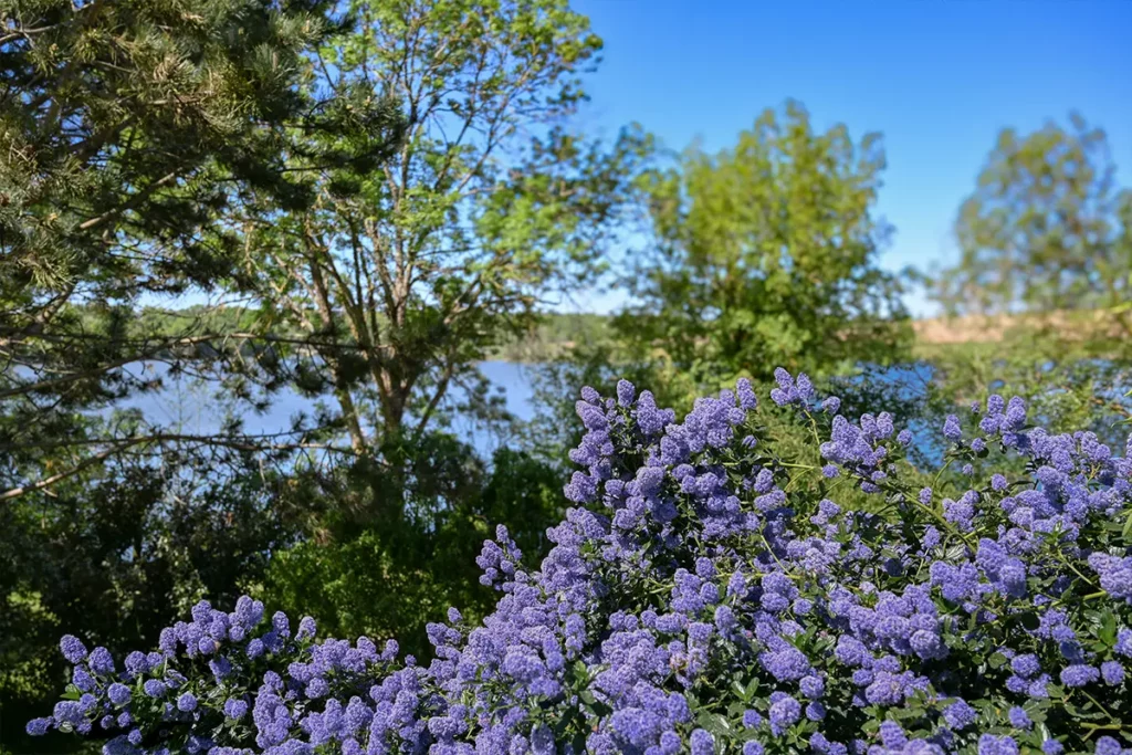 Blog Camping les Coteaux du Lac