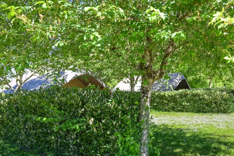 Wood lodges — bungalow toilé en camping 4 étoiles